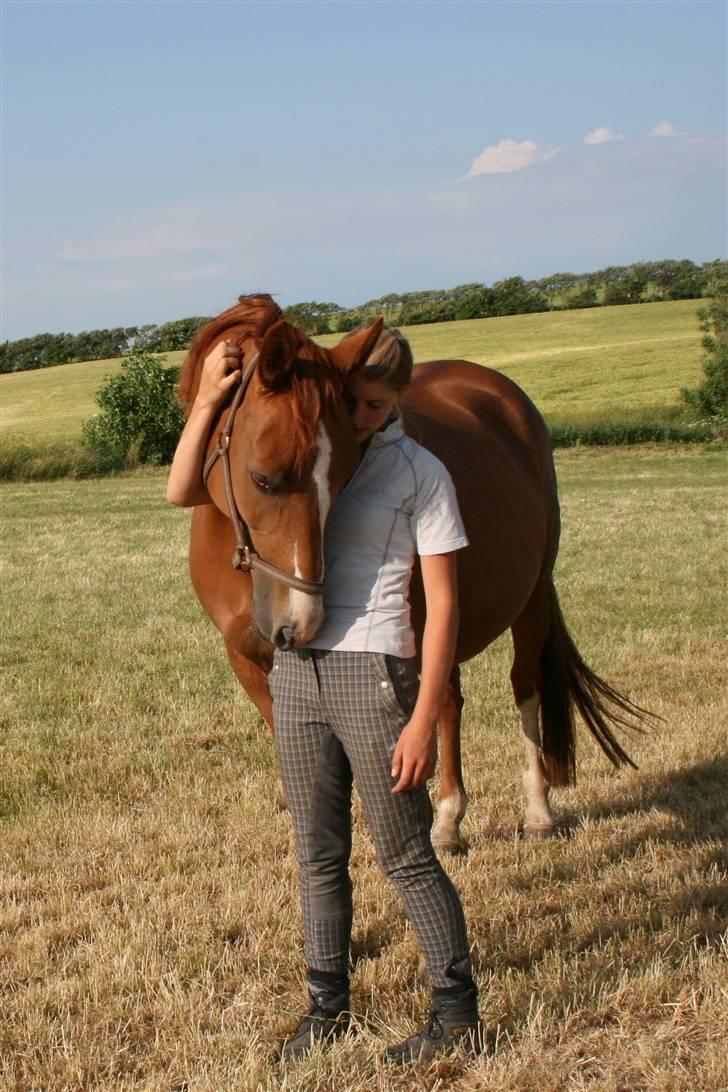 Dansk Varmblod Hjælmsbjergs Primula - Mig og hende.. <3 billede 5