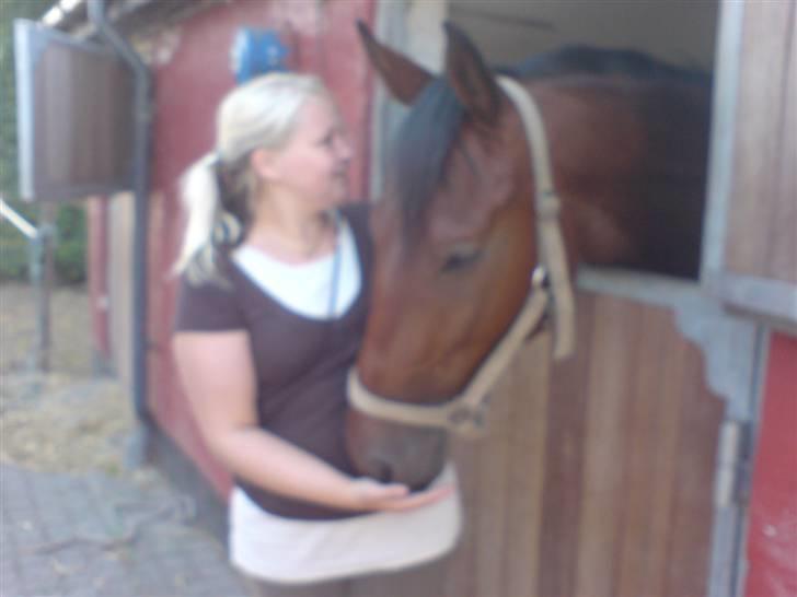 Oldenborg / fuldblod Cadiz <3 - Velkommen til Cadiz´es Profil :-D  Billede : Kærlighed ved første blik <3 billede 1