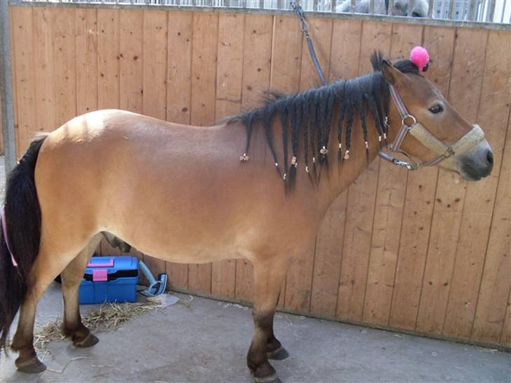 {{currentPhoto.altText}} billede {{currentPhoto.number}}