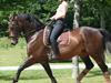 Oldenborg * Ebbe *