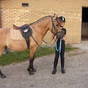 Anden særlig race Kilimanjaro