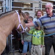 Anden særlig race Kilimanjaro
