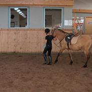 Anden særlig race Kilimanjaro