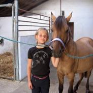 Anden særlig race Kilimanjaro