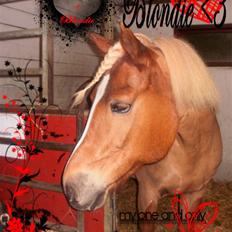 Anden særlig race Blondie<3 Min prinsesse<3