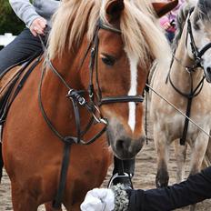 Anden særlig race Blondie<3 Min prinsesse<3