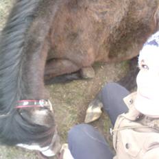 Anden særlig race Søballegårds Sweetest Jojo