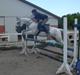Anden særlig race Twiggy
