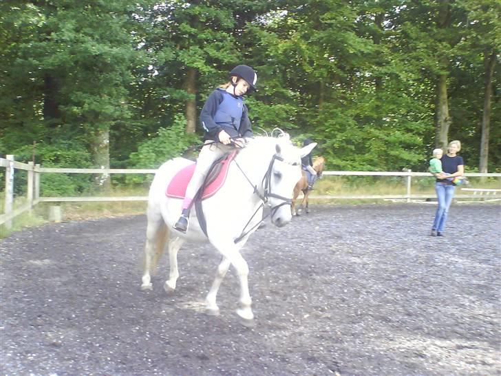 Anden særlig race Musse. R.I.P. *Himmel hest* - ride ride (: jeg kan da godt gå lidt til bidet (;  billede 11