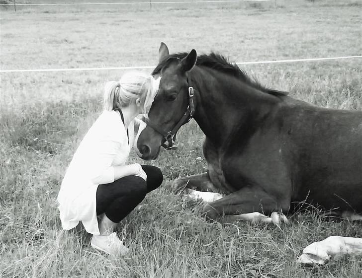 Dansk Varmblod Rubin - min lille hyp :D  - juli 08  / 3 års billede 9