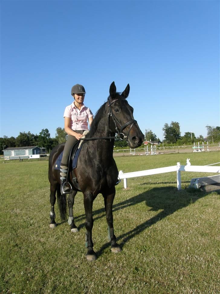 Dansk Varmblod Losanna <3  - Losanna på springbanen :) <3      Taget af Line Hald. billede 2