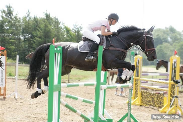 Dansk Varmblod Losanna <3  - Igen i en LB <3 GERK D. 5 / 7 :) <3                       Taget af Strømpen x´D Markmann Foto :D .  billede 10