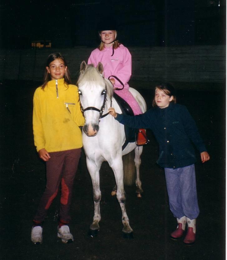 Anden særlig race Stardust - Ekstremt gammelt billed! Min veninde på Star :D - tror jeg synes det er lidt farligt? xD billede 6