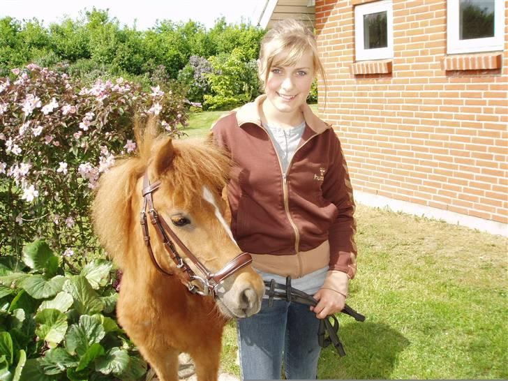 Shetlænder Lurifax<3fået nyt hjem:) - Lurifax og lille-søster :) billede 13