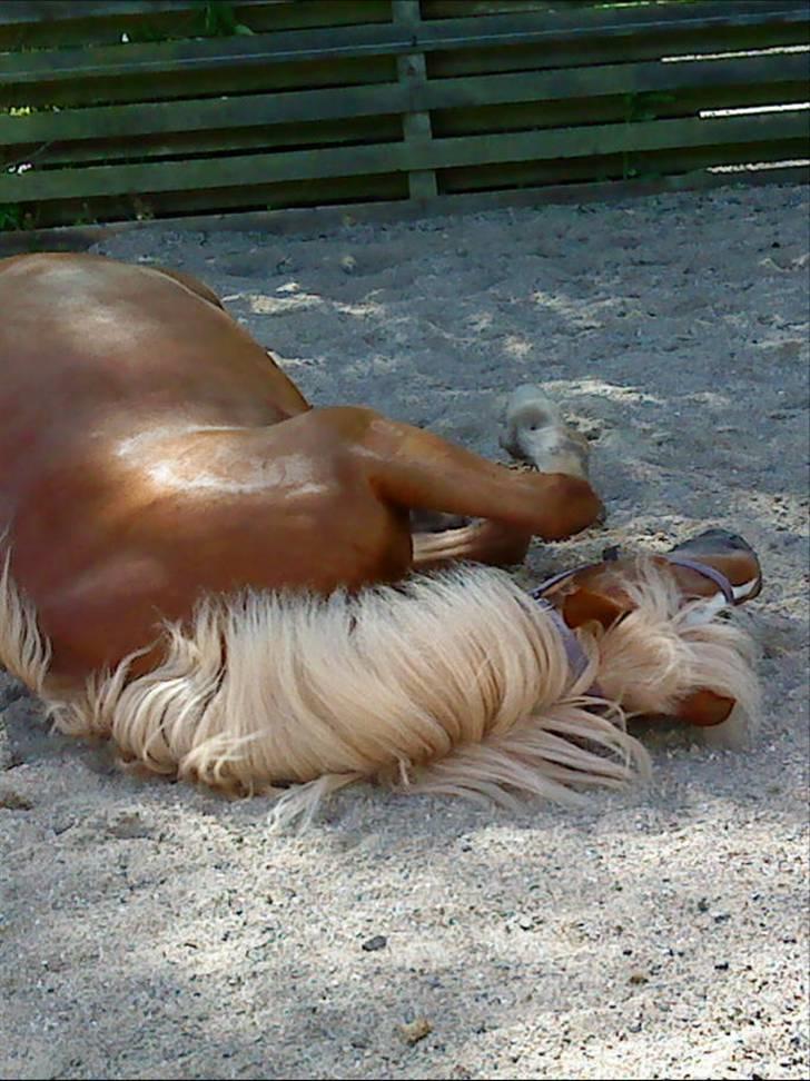 Anden særlig race Blondie<3 Min prinsesse<3 - Vend ryggen til alt skat<3 Glem dem, men husk mig som jeg vil huske dig<3 billede 9