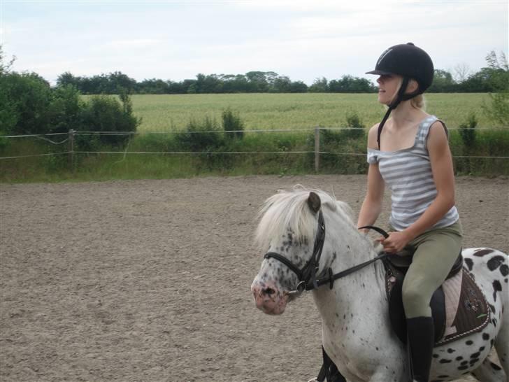 Appaloosa Jack -maria billede 4