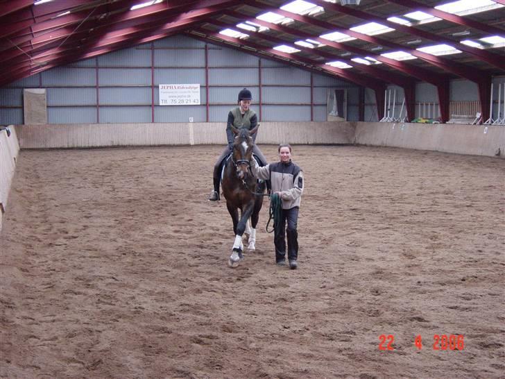 Anden særlig race Solhøjgårds first cato - Tilridning billede 5