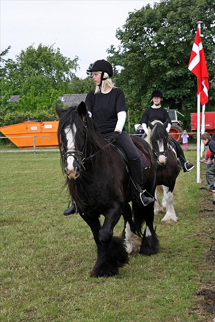 Irish Cob Jessie my Dream - mig og jessie, der rider lidt rundt derhjemme billede 5