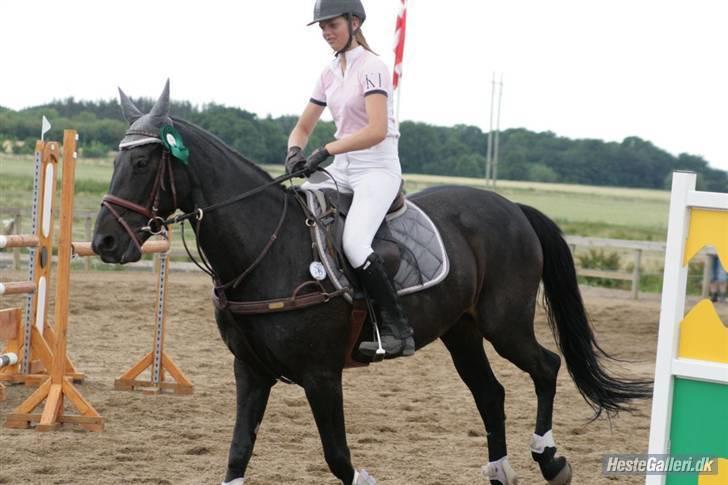 Dansk Varmblod Losanna <3  - Losanna i æresrunde :D Blev nummer 5 i en LB.. <3      Taget af Strømpen x´D Markmann Foto :D .  billede 11