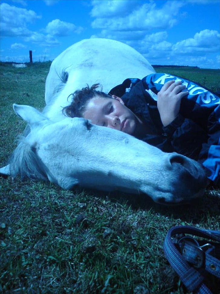 Anden særlig race Cirkeline <3 billede 1