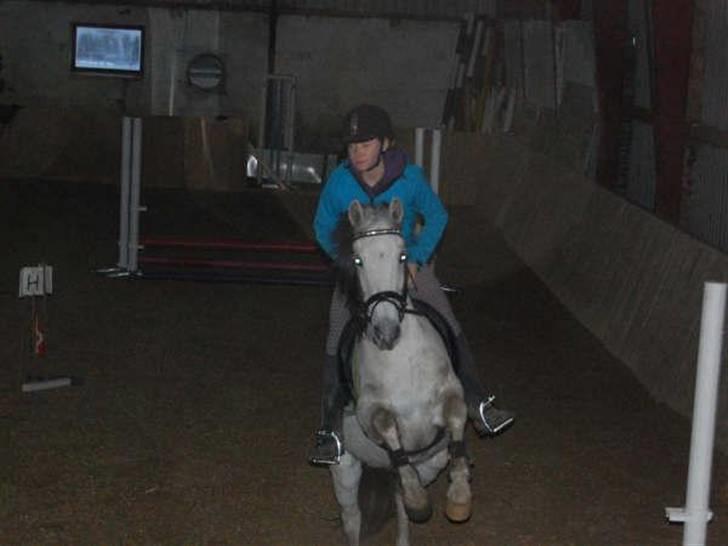 Anden særlig race Cirkeline <3 billede 2