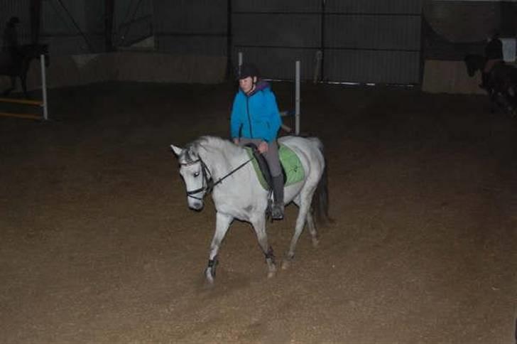 Anden særlig race Cirkeline <3 billede 3