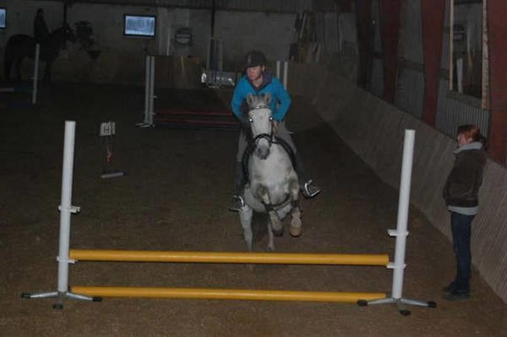 Anden særlig race Cirkeline <3 billede 4