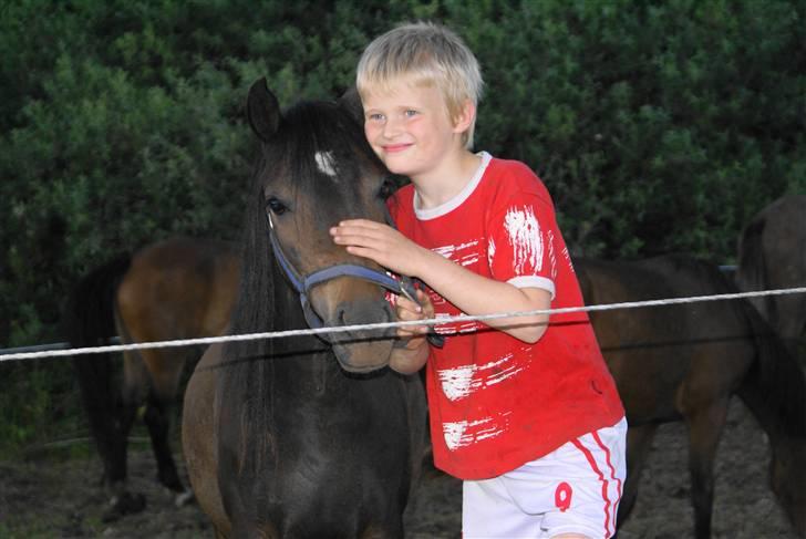 DSP Ahorns Mia Donna billede 15