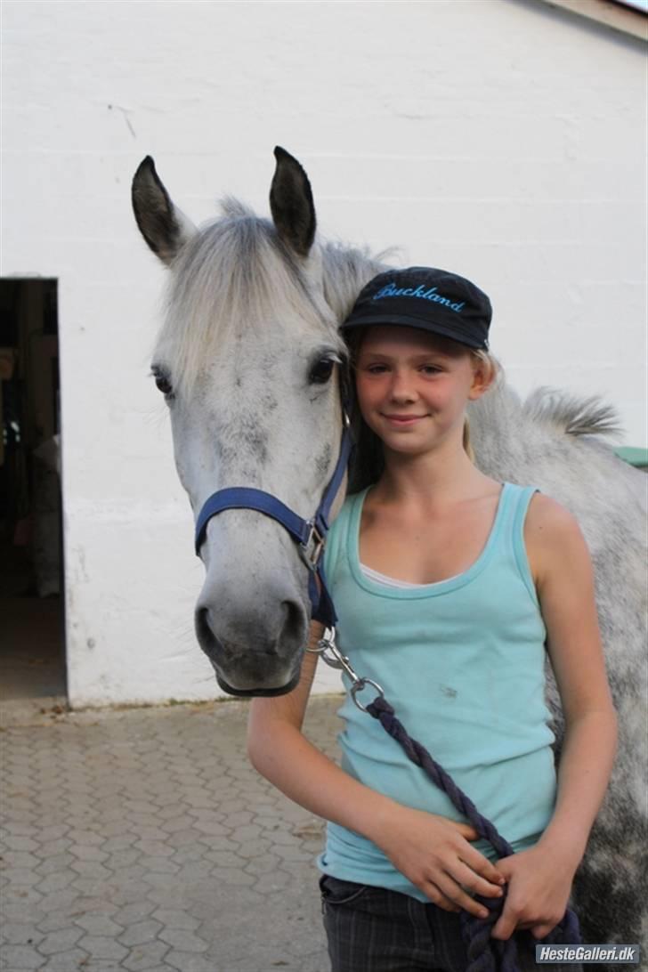 New Forest Buckland :* Drømmeponyen - MIg og BUckland <33 billede 19