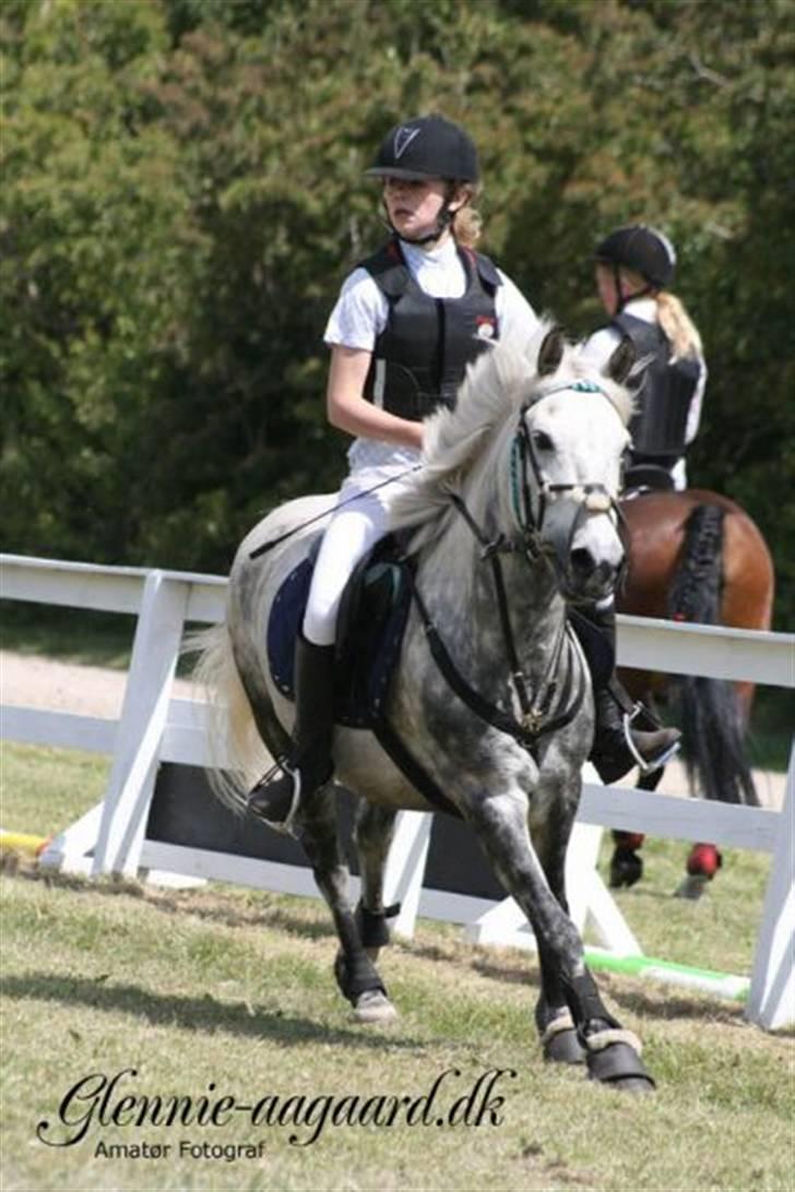 New Forest Buckland :* Drømmeponyen - Buckland elsker din ´´FRI´ Galop<3´ billede 20