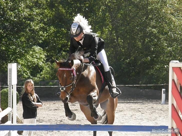 Irsk Sportspony Clover Island - 2) Over vandgraven i LA på HØRSXD<333 FOTO: Min far billede 2