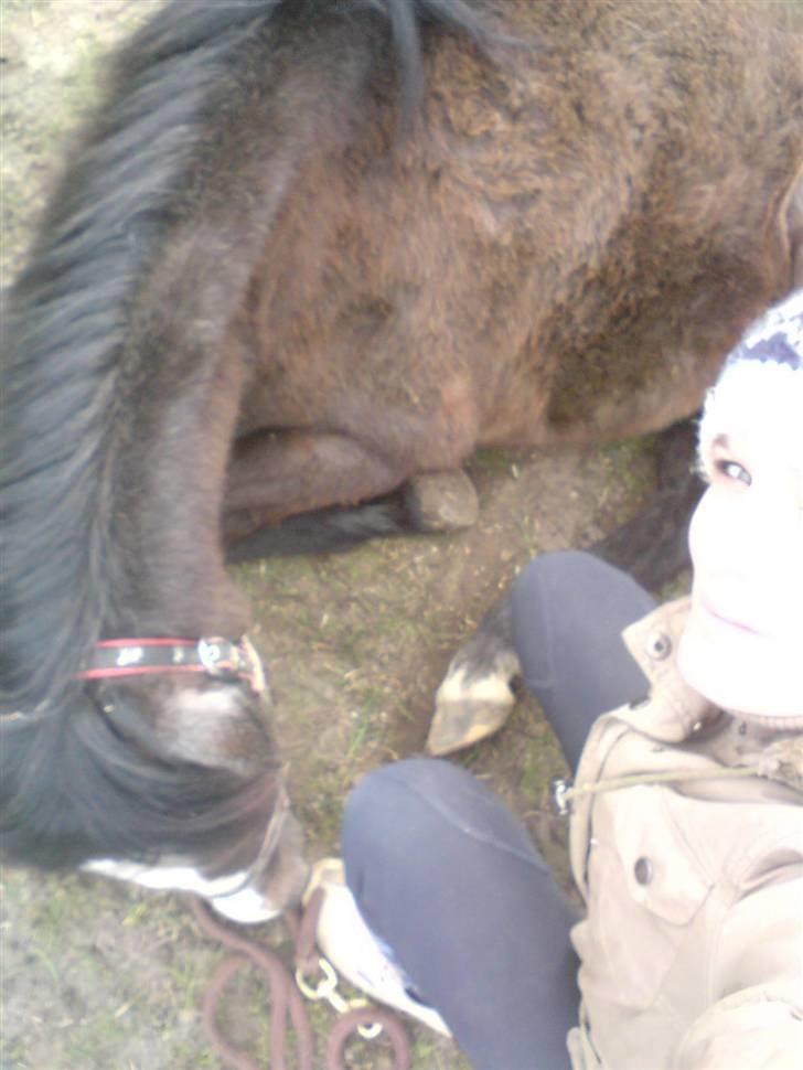 Anden særlig race Søballegårds Sweetest Jojo - Jojo og jeg billede 3