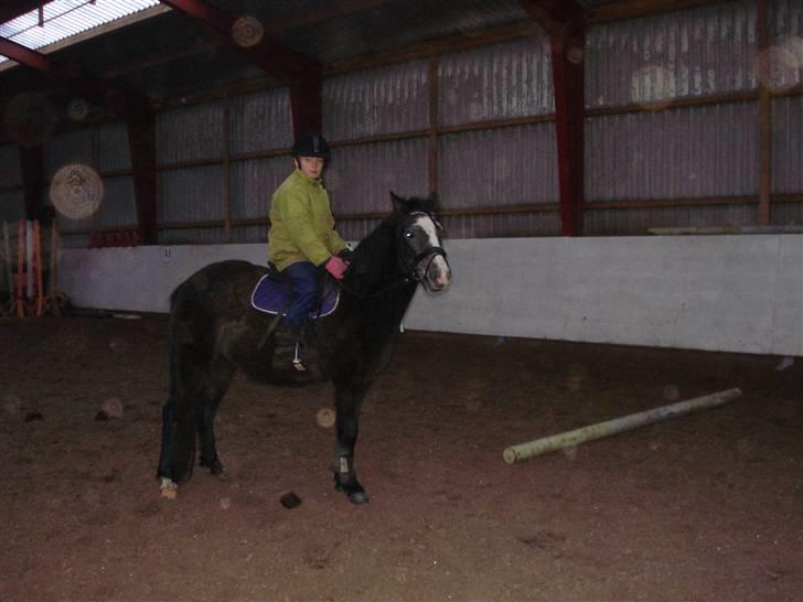 Anden særlig race Søballegårds Sweetest Jojo - Her er Jojo med rasmus, hendes ejer, på ryggen, de er ude at trave og galoperer for første gang sammen :D <3 billede 12