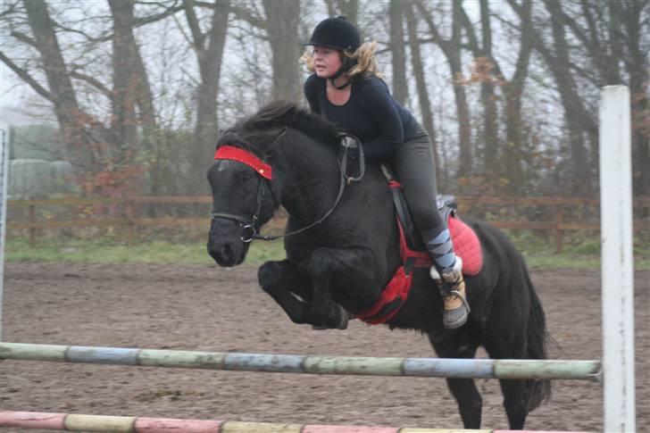 Anden særlig race Thor - Spring, tag jer ikke lige at udtrykket i mit fjæs :P. Foto: Liv billede 2