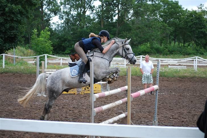 New Forest Laterne |B-pony  - Kursus ved Bo Bak (: Jeg elsker Laterne! billede 10