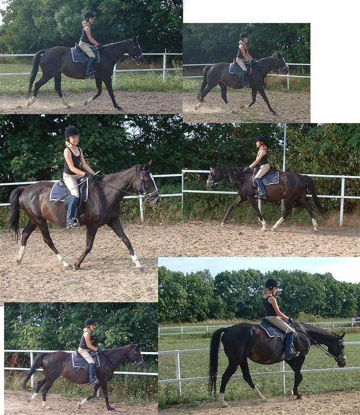 Anden særlig race Minella "Solgt" - Minella i genoptræning med min datter på ryggen. juli 2008 billede 15