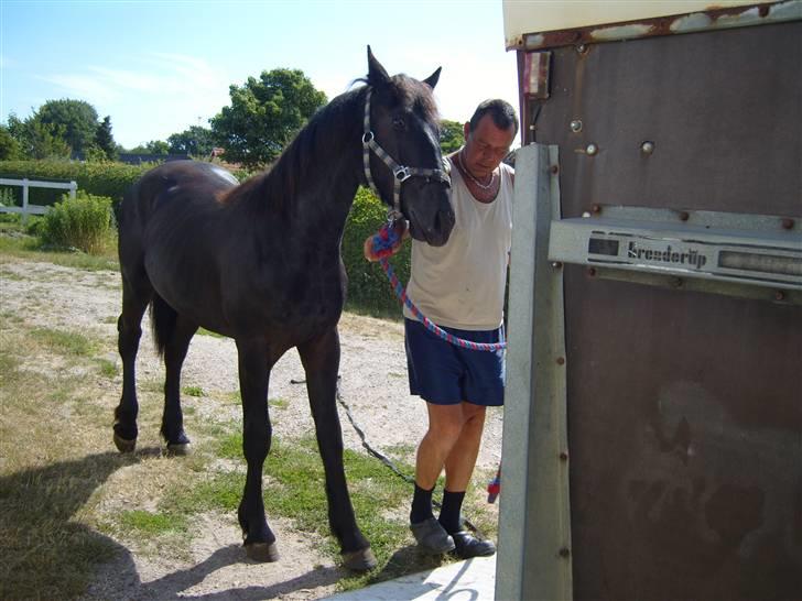 Anden særlig race *Jacques Nobest* SOLGT: ( - `jacques på vej op i taileren billede 20