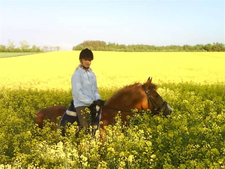 DSP Amie - Laila & Amie  billede 19