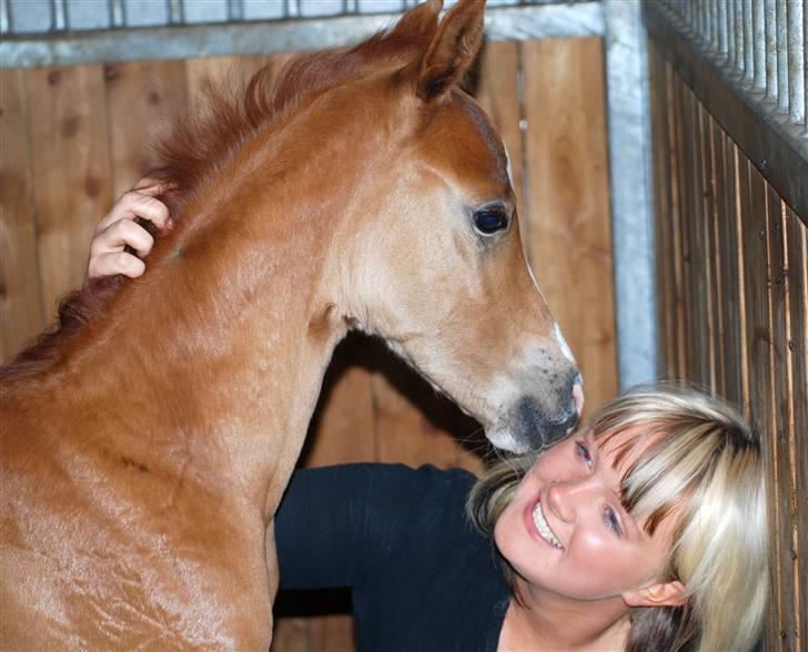 Sportsaraber (A) Fakhir E'jaaz SOLGT billede 12