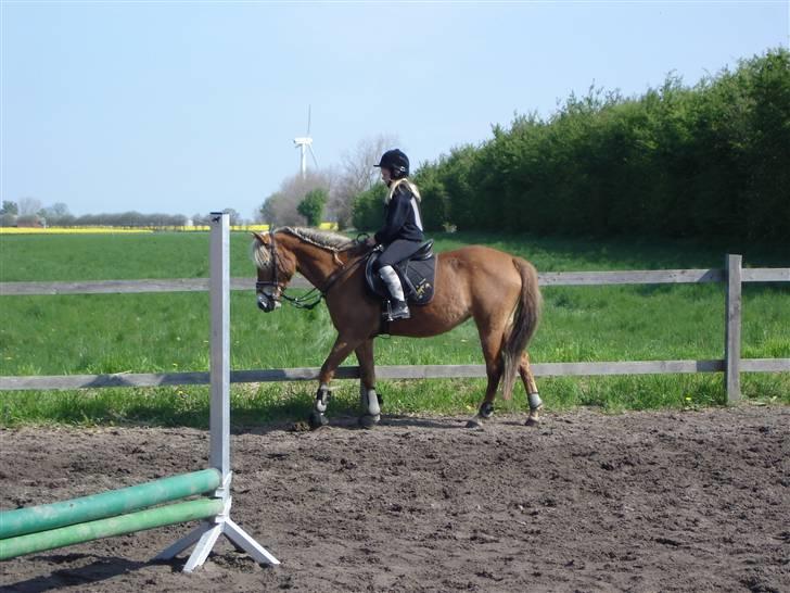 Anden særlig race KEEBE - KEEBE og mig til rideundervisning billede 2
