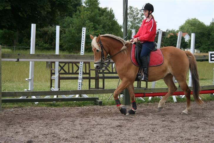 Anden særlig race KEEBE - KEEBE og mig til springundervisning billede 5