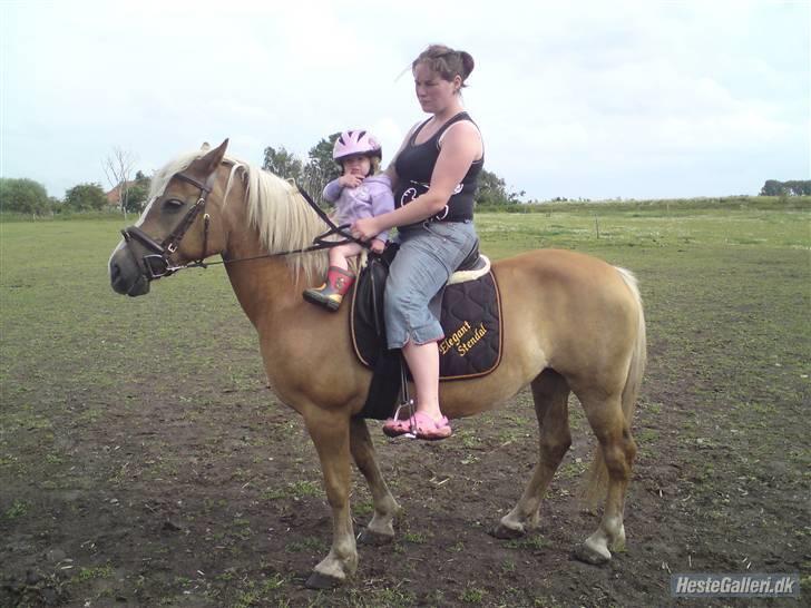 Haflinger Debbie - "Sure Debbie" med sin lille ejer og jeg på nakken.... billede 9