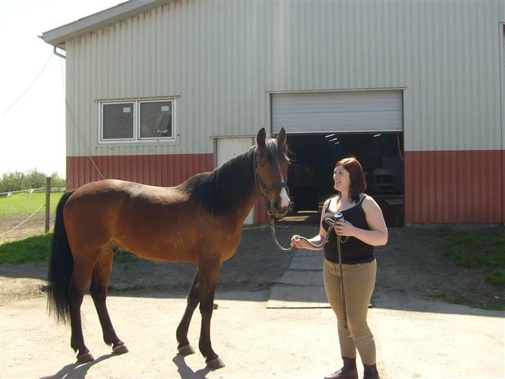 Traver Gi Vert *SOLGT* - fra da jeg så ham første gang.. billede 15
