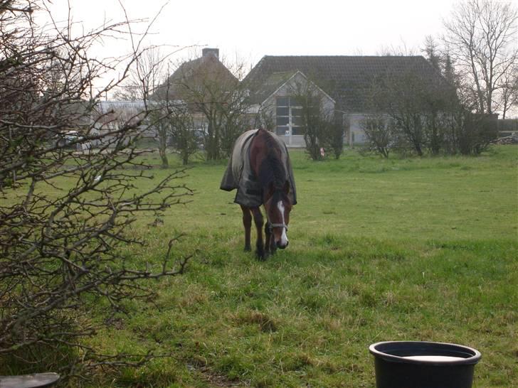 Traver Gi Vert *SOLGT* - Nyt 01-12-08 billede 16