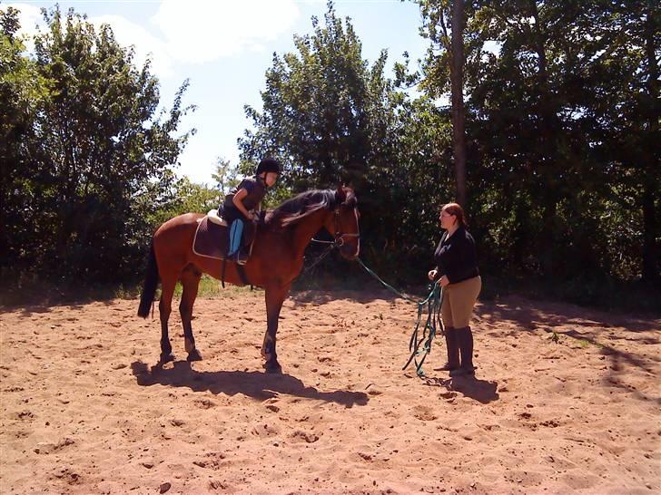 Traver Gi Vert *SOLGT* billede 17