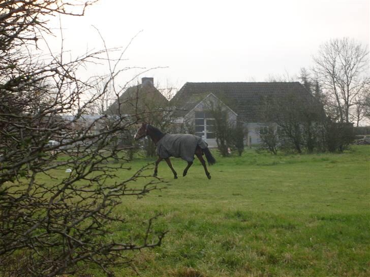 Traver Gi Vert *SOLGT* - Nyt 01-12-08 billede 18