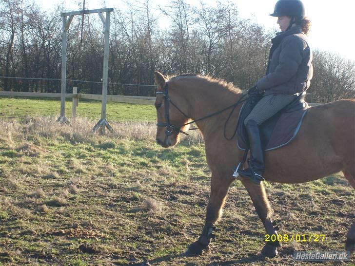 Anden særlig race Julie - smukke julie <3 ! :-* billede 19