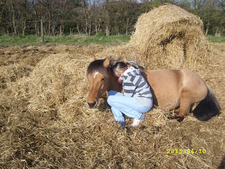 Anden særlig race Julie - ´tak fordi i kiggede..    elsker diig julie skat! <3 :-* billede 20