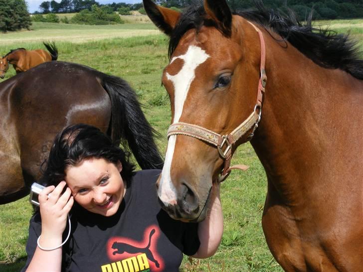 Dansk Varmblod Storåens Manhjana - Nurh <3 billede 14