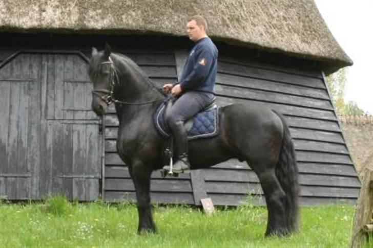 Frieser Melle van de Gonda - Ved den gamle mølle i den fynske landsby. billede 1